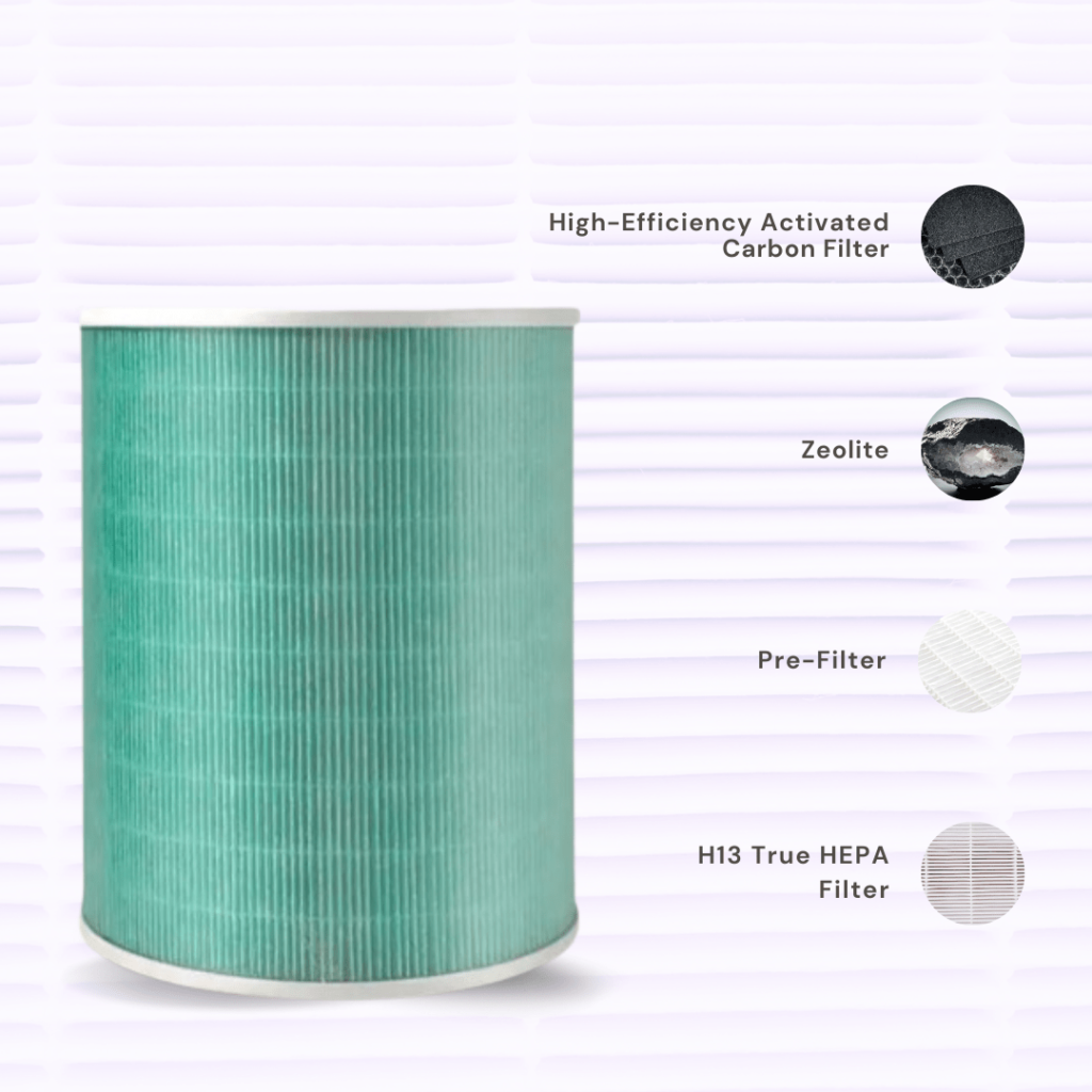 air purifier filter benefits