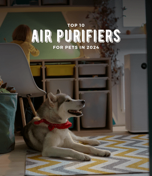 top 10 air purifiers in 2024